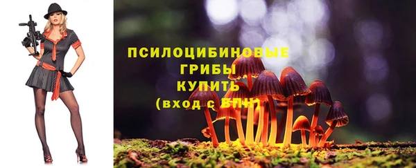 бутират Краснослободск