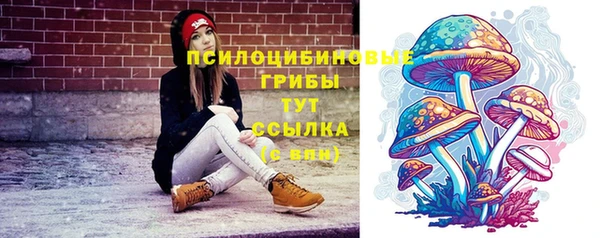 дмт Краснотурьинск