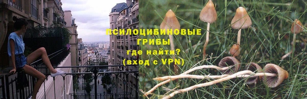 бутират Краснослободск